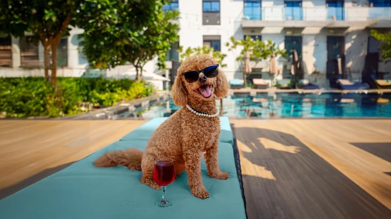 IzziLife Mint Gallery Image 5